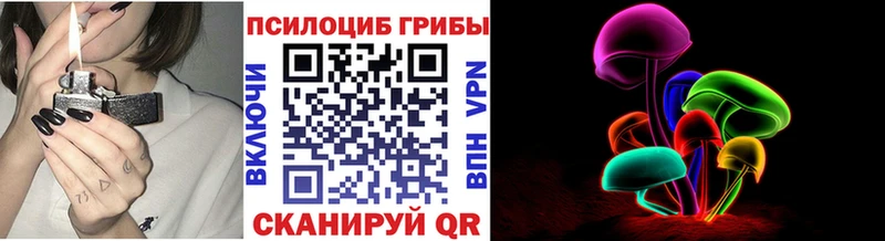 как найти наркотики  Плёс  darknet какой сайт  Псилоцибиновые грибы Magic Shrooms 