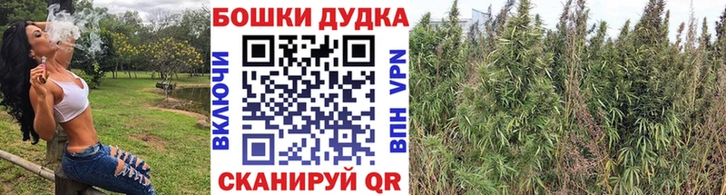 блэк спрут как войти  Плёс  МАРИХУАНА планчик  сколько стоит 